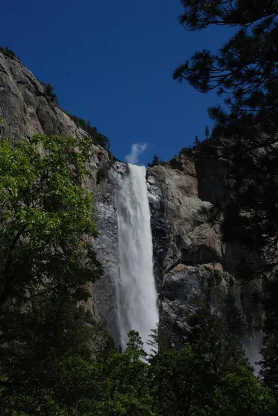 DSC_0089 (Large).JPG